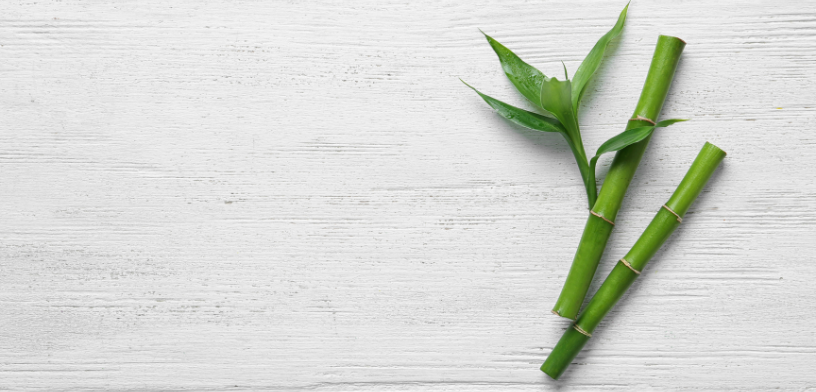 Die besten Bettwäsche-Set von 2025 – Ein Einkaufsführer